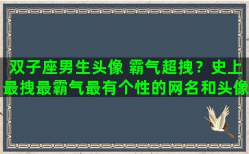 双子座男生头像 霸气超拽？史上最拽最霸气最有个性的网名和头像男生的